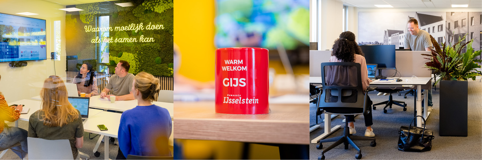 Gemeente IJsselstein Sociaal Domein