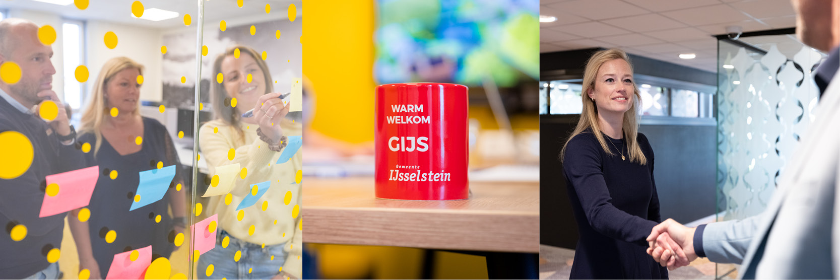 Gemeente IJsselstein Advies 